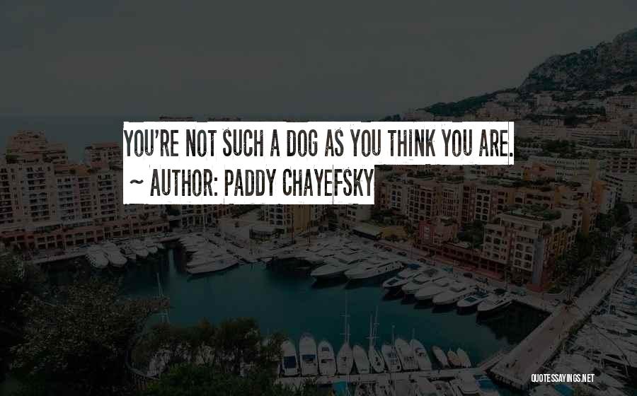 Paddy Chayefsky Quotes 894837