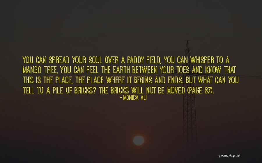 Paddy Field Quotes By Monica Ali