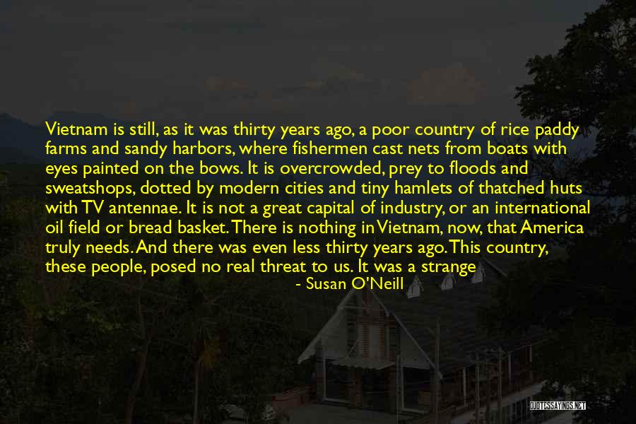 Paddy Field Quotes By Susan O'Neill Paddy Field Quotes By Susan O'Neill