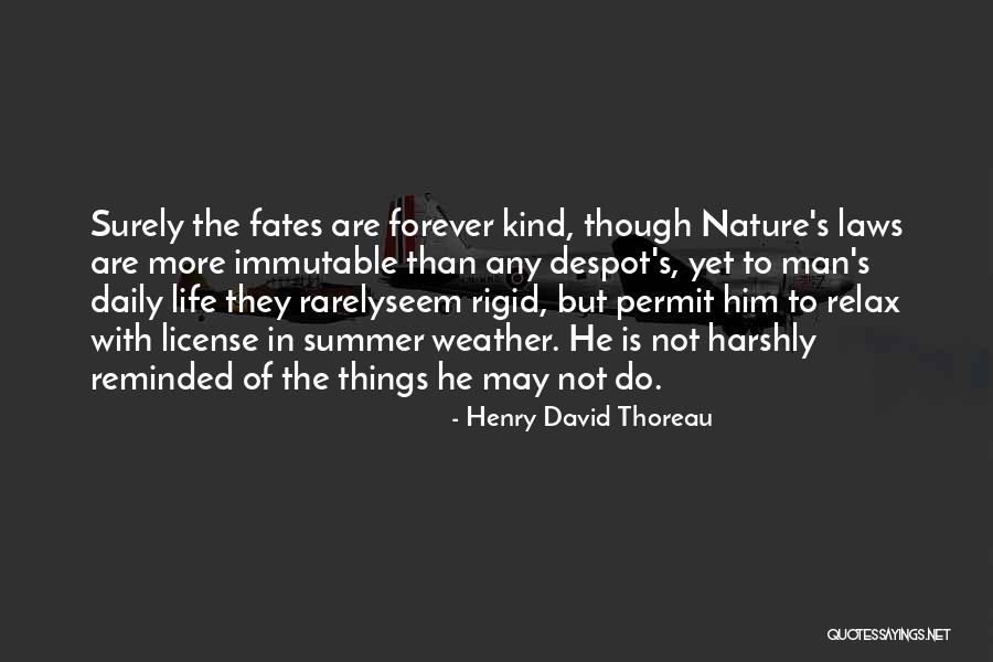 Padella Quotes By Henry David Thoreau Padella Quotes By Henry David Thoreau