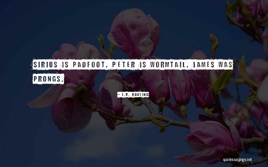 Padfoot Quotes By J.K. Rowling