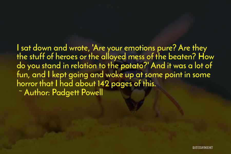 Padgett Powell Quotes 1408959