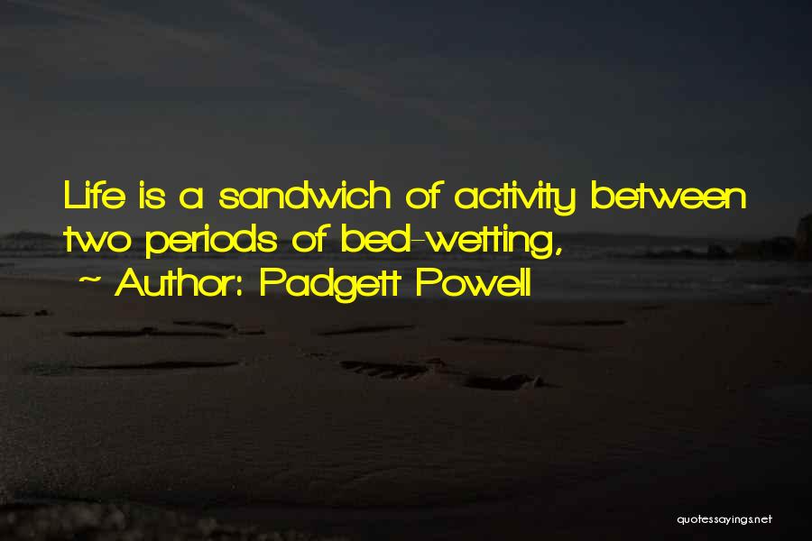Padgett Powell Quotes 1512433