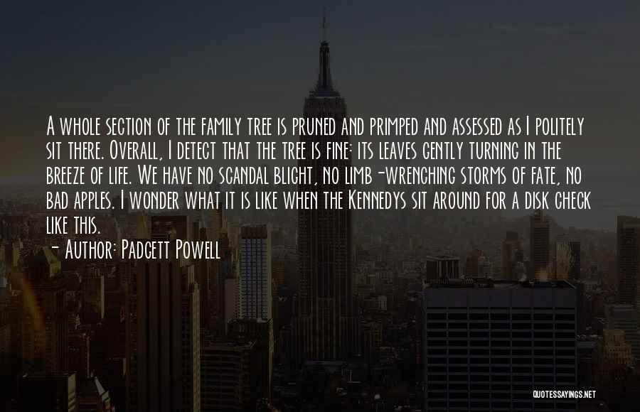 Padgett Powell Quotes 173020