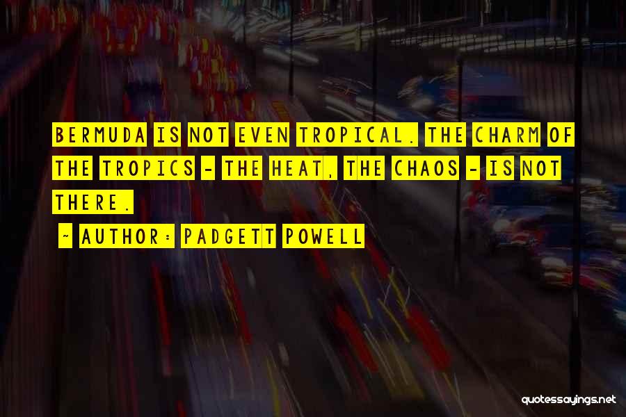 Padgett Powell Quotes 2250819