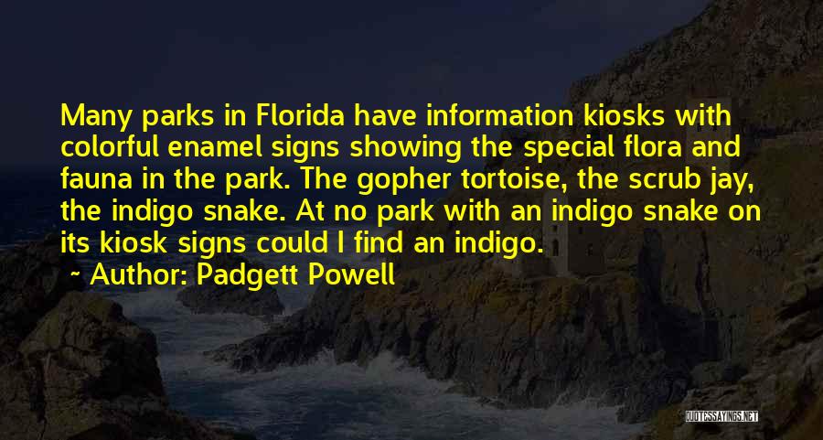 Padgett Powell Quotes 340307