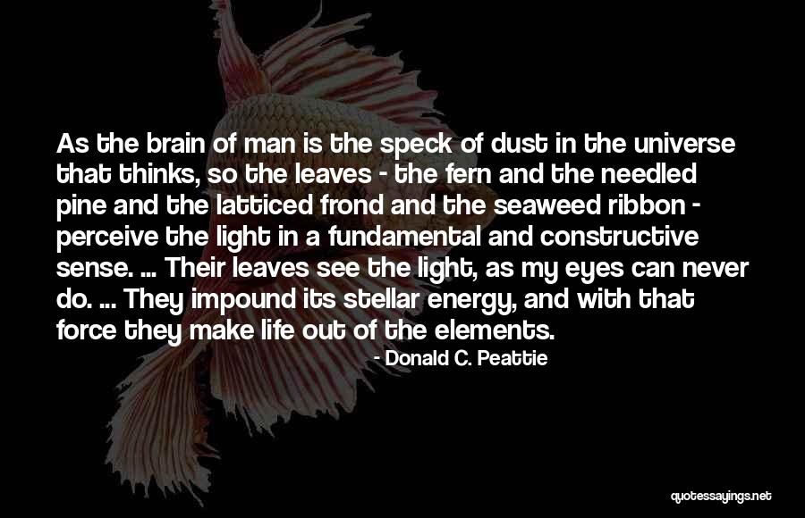 Padilha Portas Quotes By Donald C. Peattie Padilha Portas Quotes By Donald C. Peattie