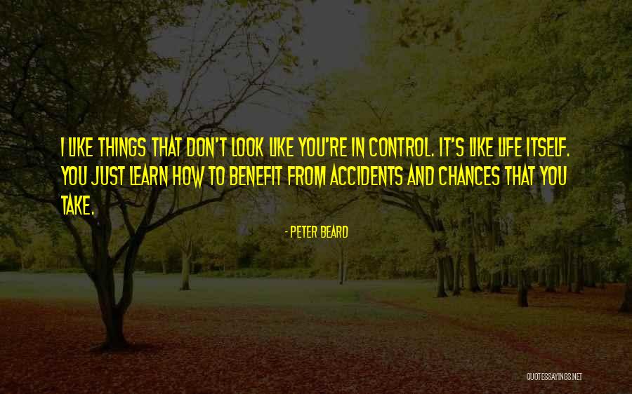 Padiyar Hvdc Quotes By Peter Beard Padiyar Hvdc Quotes By Peter Beard
