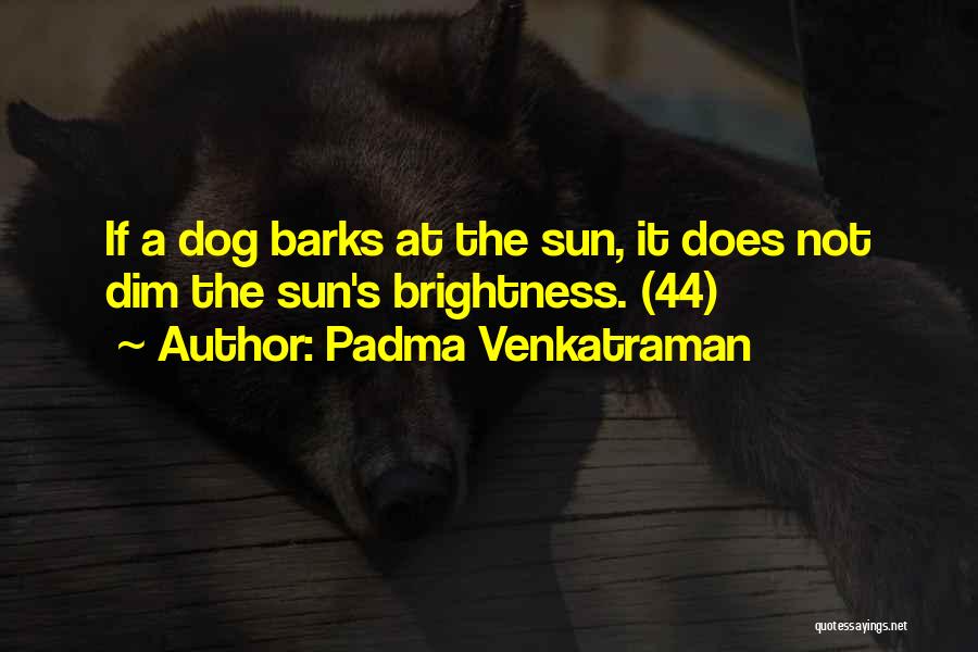 Padma Venkatraman Quotes 1134042