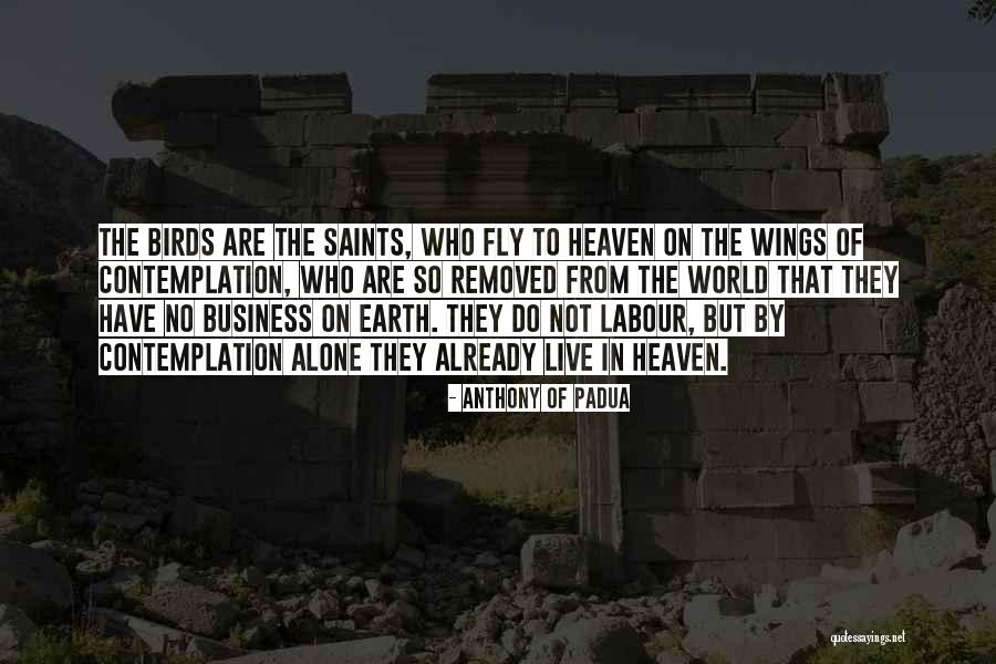 Padua Quotes By Anthony Of Padua