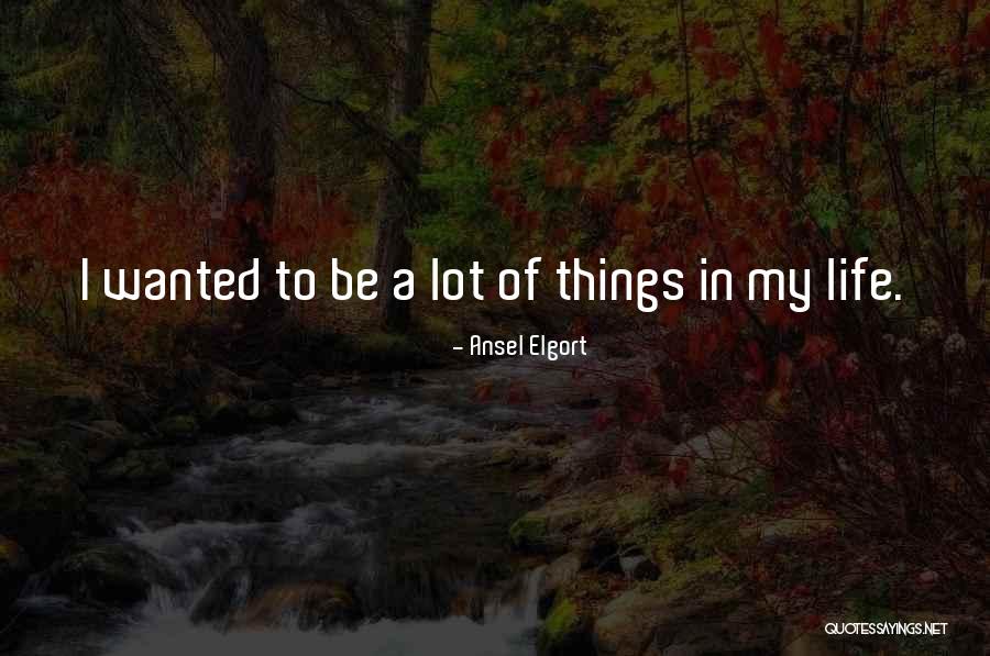 Paganos Quotes By Ansel Elgort Paganos Quotes By Ansel Elgort