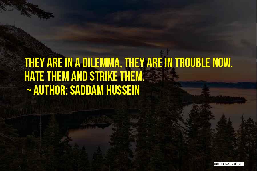 Page 229 Quotes By Saddam Hussein