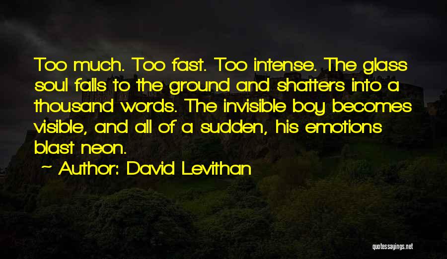 Page Boy Quotes By David Levithan