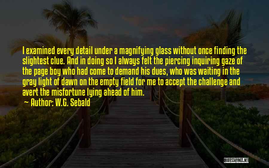 Page Boy Quotes By W.G. Sebald