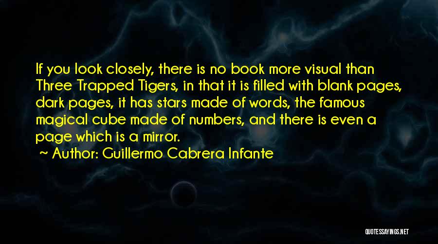 Page Numbers Quotes By Guillermo Cabrera Infante