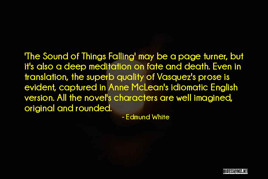 Page Turner Quotes By Edmund White