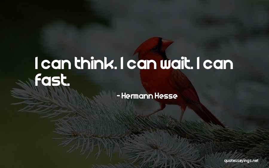 Pageviews And Hits Quotes By Hermann Hesse