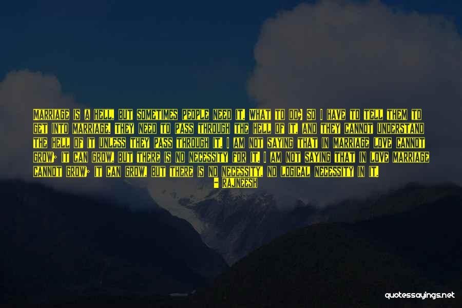 Pagliarini Lab Quotes By Rajneesh Pagliarini Lab Quotes By Rajneesh