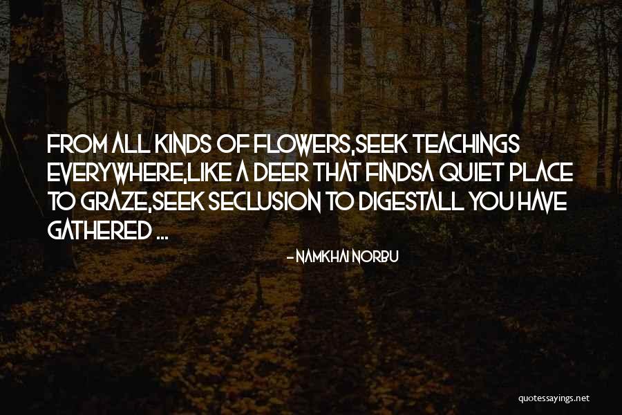 Paglione Umd Quotes By Namkhai Norbu Paglione Umd Quotes By Namkhai Norbu