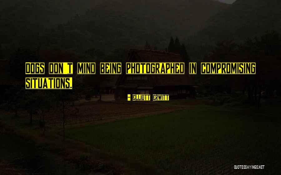 Pagnis Sealcoating Quotes By Elliott Erwitt Pagnis Sealcoating Quotes By Elliott Erwitt