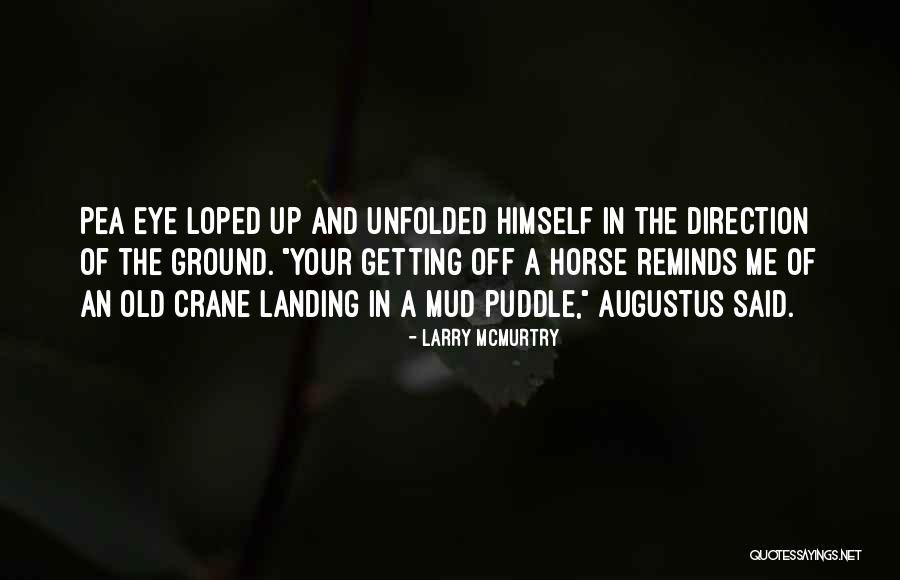 Pagnotta Napolitano Quotes By Larry McMurtry Pagnotta Napolitano Quotes By Larry McMurtry