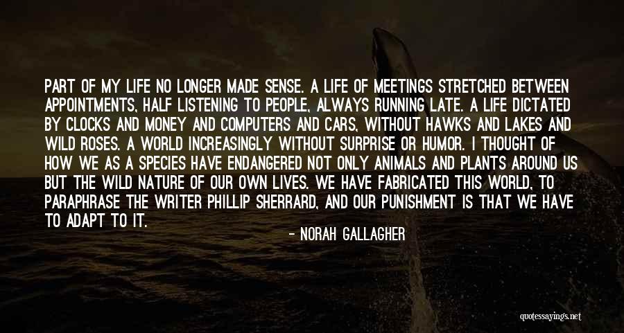 Pahlowsenglish Quotes By Norah Gallagher Pahlowsenglish Quotes By Norah Gallagher