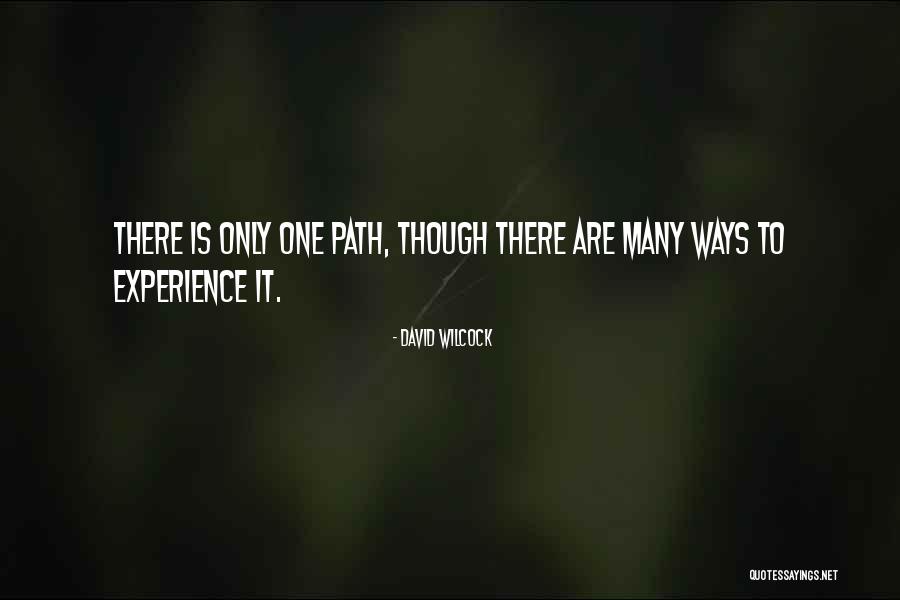 Paidhi Quotes By David Wilcock