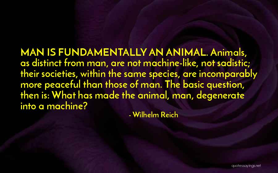 Pailet Photographer Quotes By Wilhelm Reich Pailet Photographer Quotes By Wilhelm Reich