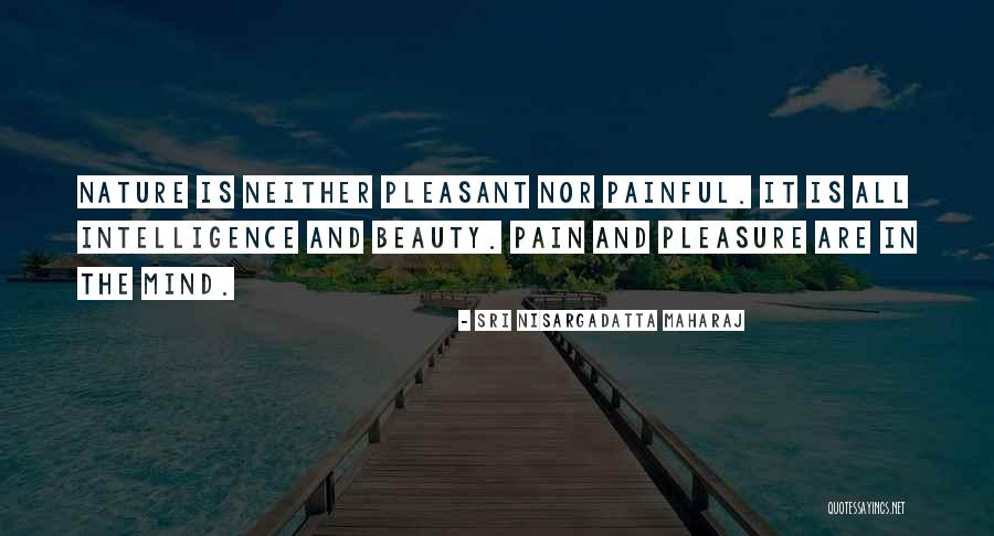 Pain And Beauty Quotes By Sri Nisargadatta Maharaj Pain And Beauty Quotes By Sri Nisargadatta Maharaj