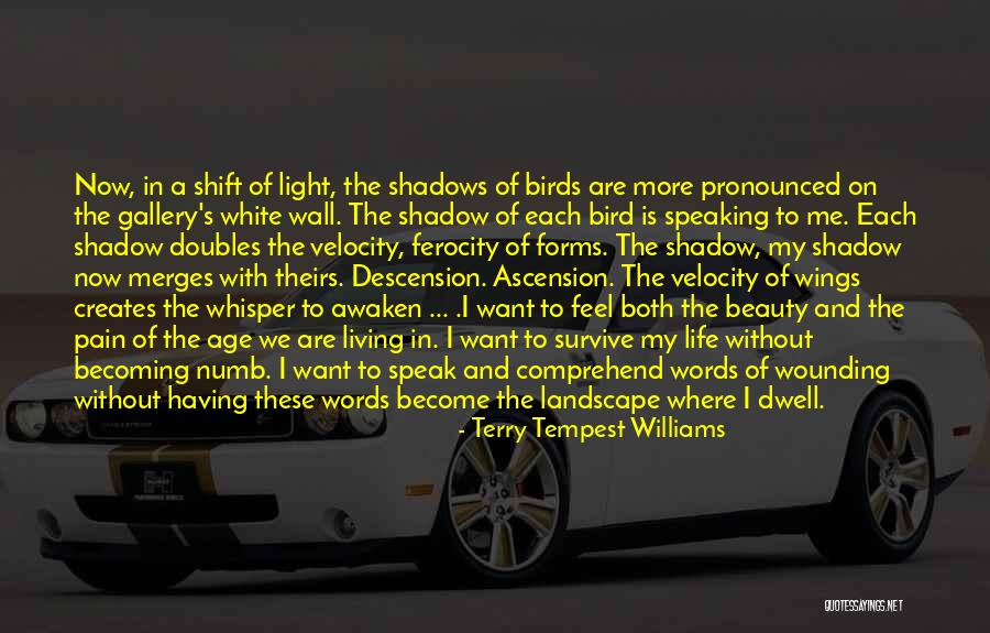 Pain And Beauty Quotes By Terry Tempest Williams Pain And Beauty Quotes By Terry Tempest Williams
