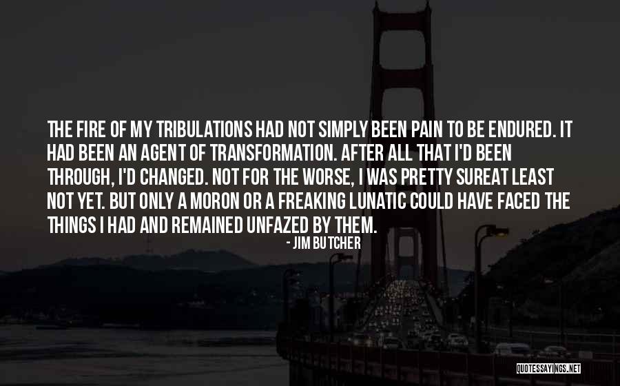 Pain And Change Quotes By Jim Butcher Pain And Change Quotes By Jim Butcher