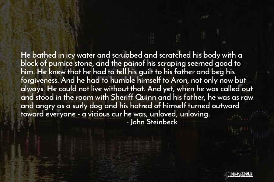 Pain And Forgiveness Quotes By John Steinbeck Pain And Forgiveness Quotes By John Steinbeck