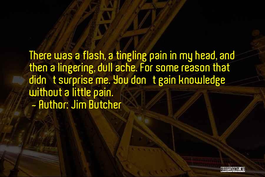 Pain And Gain All Quotes By Jim Butcher