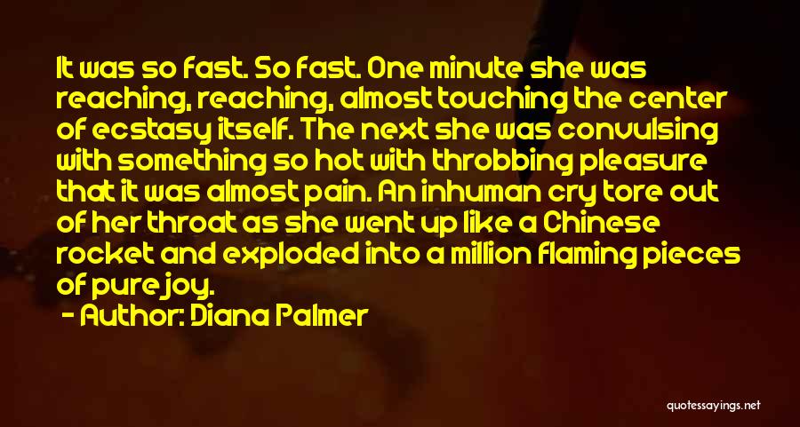 Pain And Joy Quotes By Diana Palmer