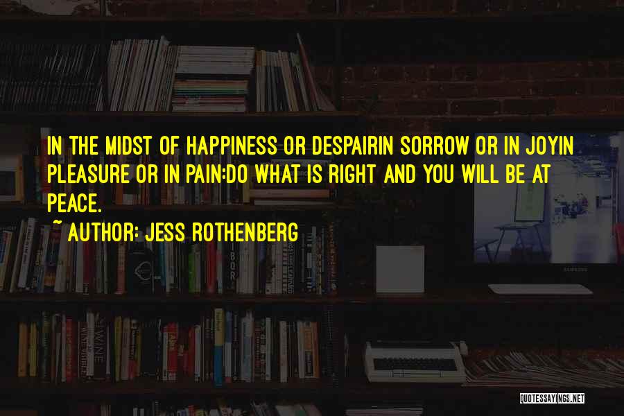 Pain And Joy Quotes By Jess Rothenberg