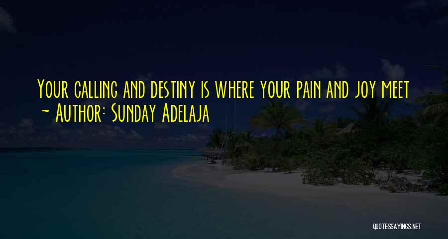 Pain And Joy Quotes By Sunday Adelaja