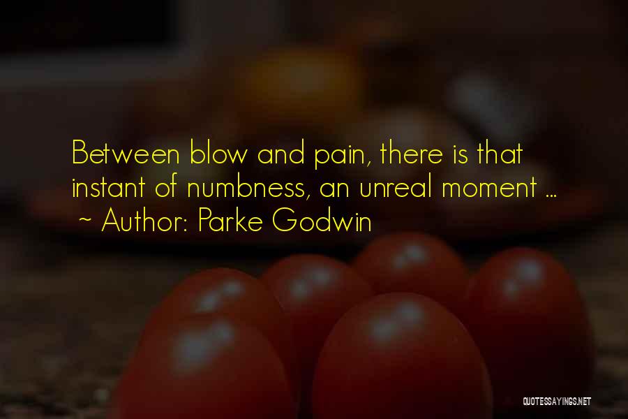 Pain And Quotes By Parke Godwin