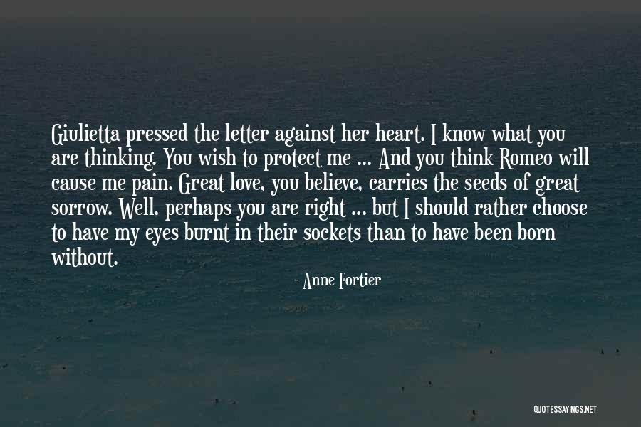 Pain And Sorrow Quotes By Anne Fortier