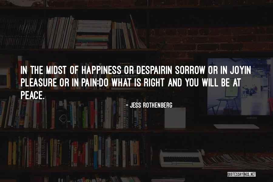 Pain And Sorrow Quotes By Jess Rothenberg