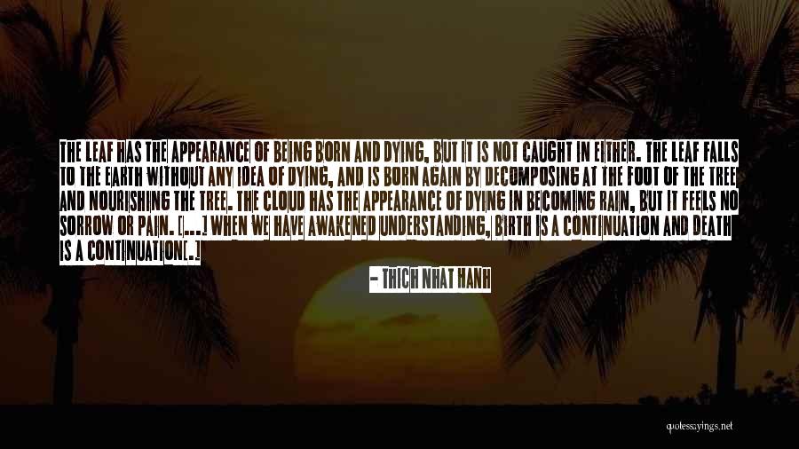 Pain And Sorrow Quotes By Thich Nhat Hanh