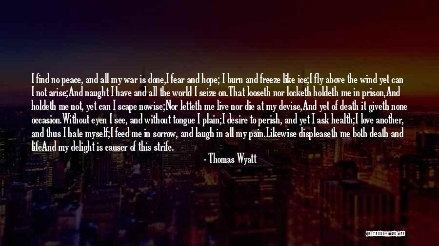 Pain And Sorrow Quotes By Thomas Wyatt