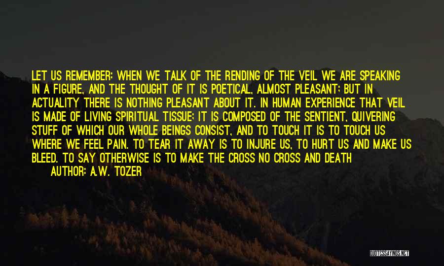 Pain And Suffering Christian Quotes By A.W. Tozer