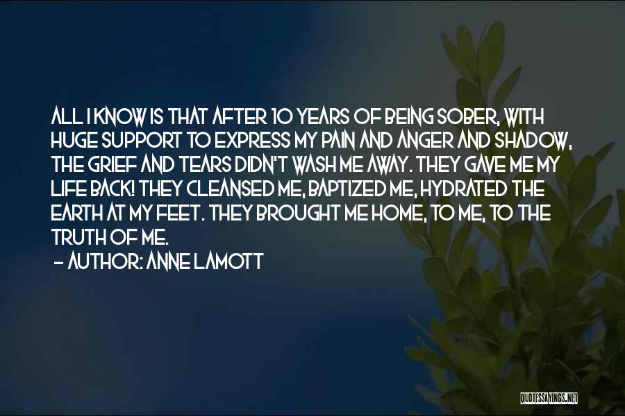 Pain And Tears Quotes By Anne Lamott