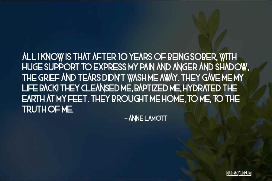 Pain And Tears Quotes By Anne Lamott