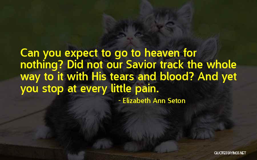 Pain And Tears Quotes By Elizabeth Ann Seton