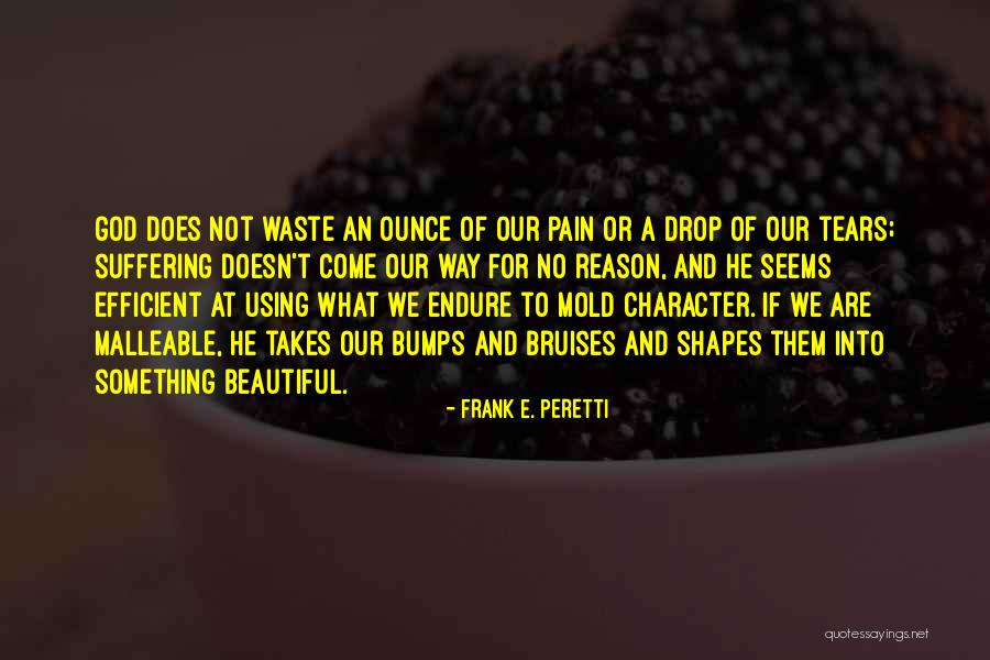 Pain And Tears Quotes By Frank E. Peretti