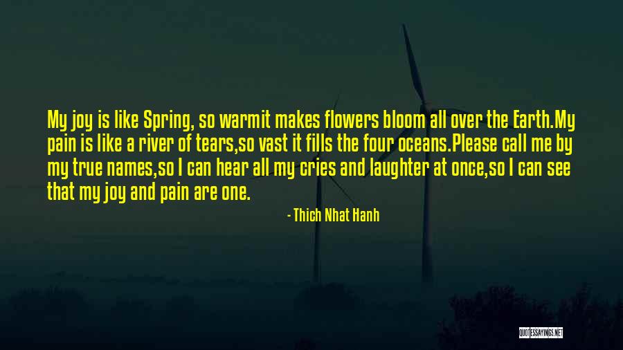 Pain And Tears Quotes By Thich Nhat Hanh