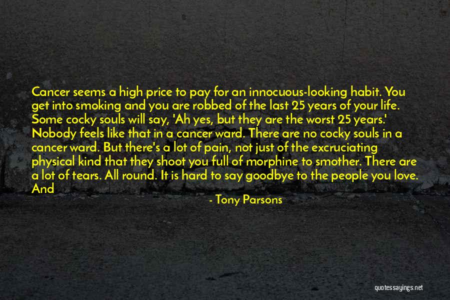 Pain And Tears Quotes By Tony Parsons