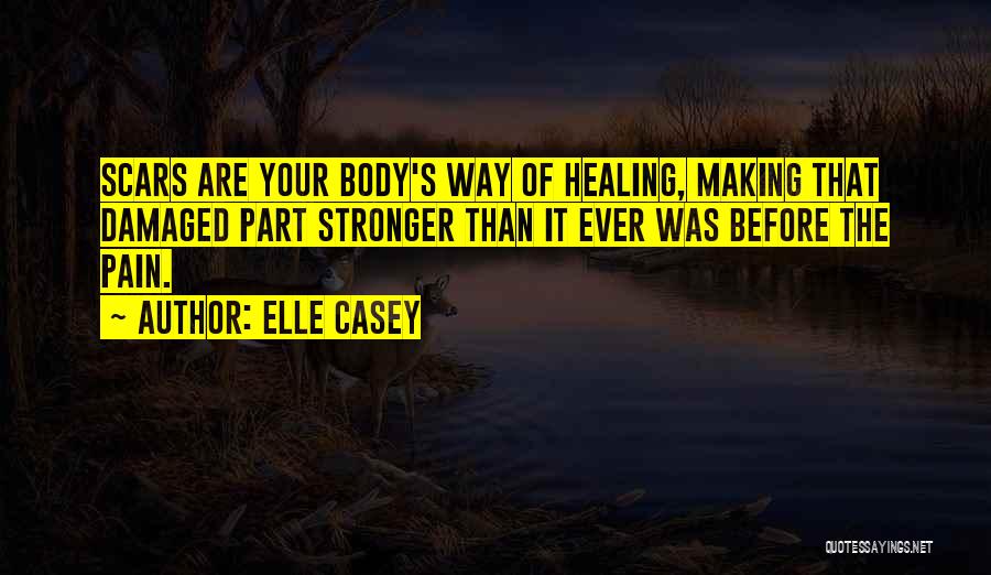 Pain Before Healing Quotes By Elle Casey