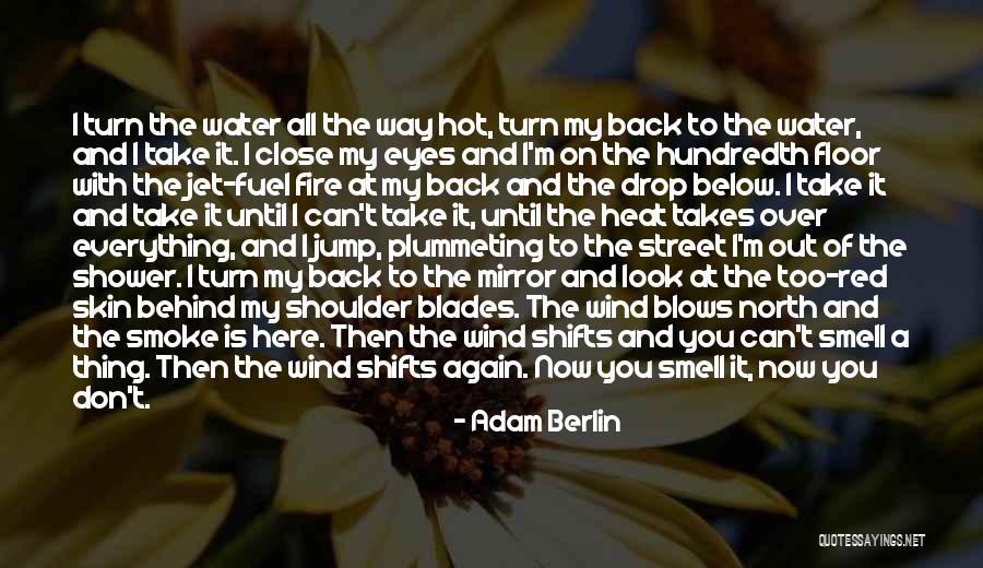 Pain Behind Eyes Quotes By Adam Berlin